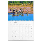 elephants  kalender (Jan 2027)