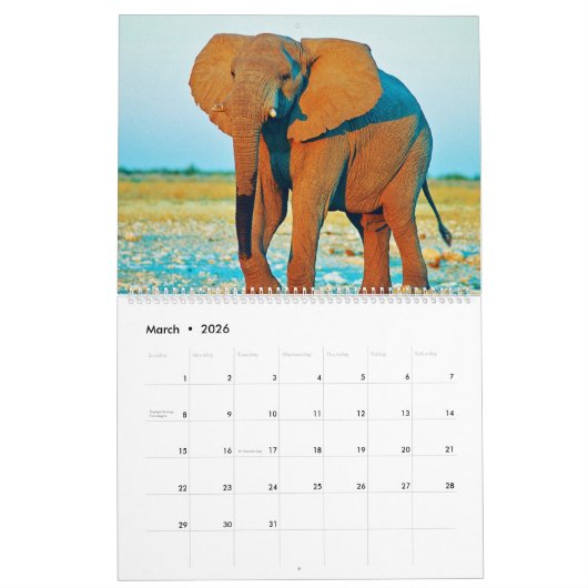 elephants kalender (Mär 2026)