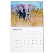  elephants kalender (Feb 2027)