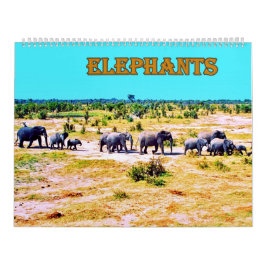 elephants kalender