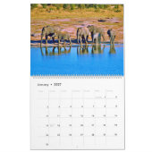  elephants kalender (Jan 2027)