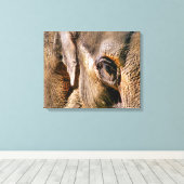 ELEPHANTS LEINWANDDRUCK (Insitu (Holzboden))