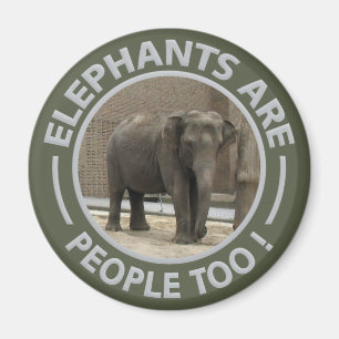 ELEPHANTS-Magnet Magnet