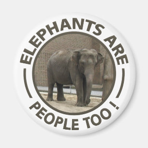 ELEPHANTS-Magnet Magnet