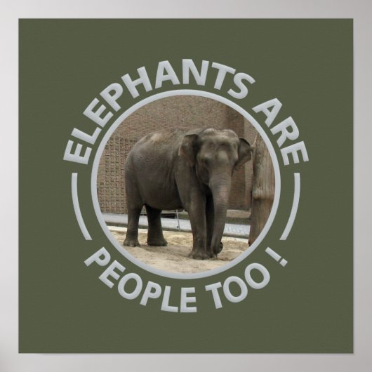 ELEPHANTS-Plakat Poster (Vorne)