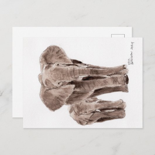 elephants post card postkarte (Vorne/Hinten)