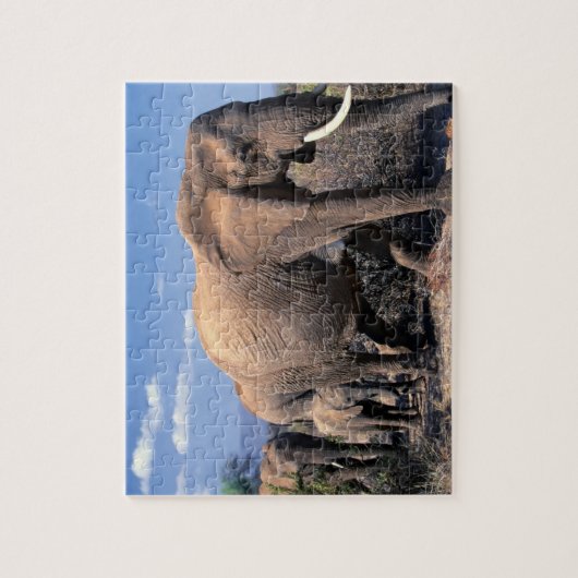 Elephants Puzzle (Vertikal)