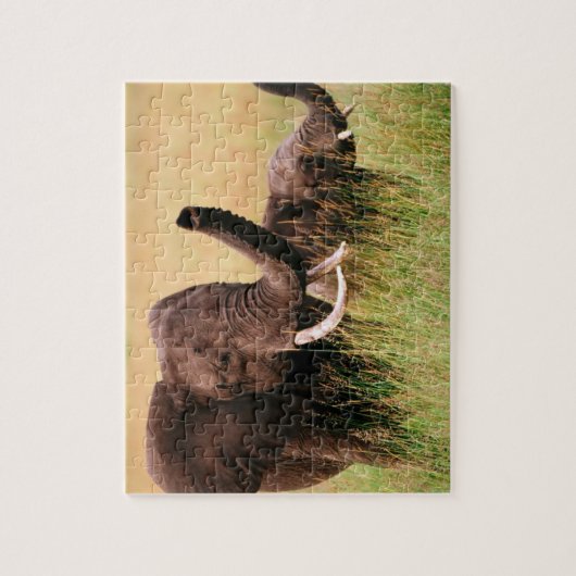 Elephants Puzzle (Vertikal)