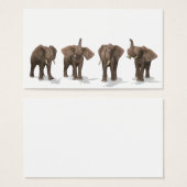 Elephants Quartett (Vorne & Hinten)