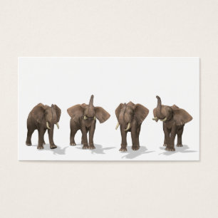 Elephants Quartett