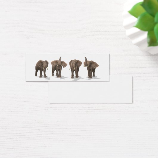 Elephants Quartett (Schreibtisch)