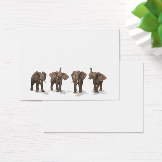 Elephants Quartett (Schreibtisch)
