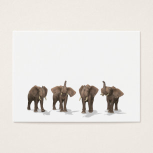 Elephants Quartett