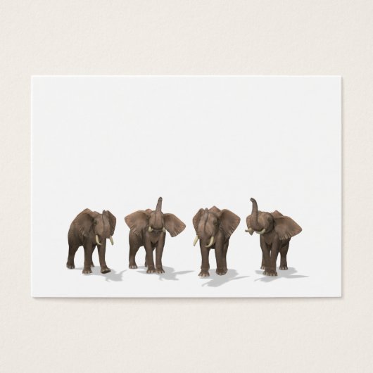 Elephants Quartett (Vorderseite)