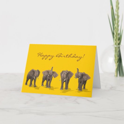 Elephants Quartett Happy Birthday Karte (Vorderseite)
