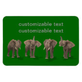 Elephants Quartett Magnet (Horizontal)