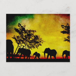 Elephants Sunset Postkarte