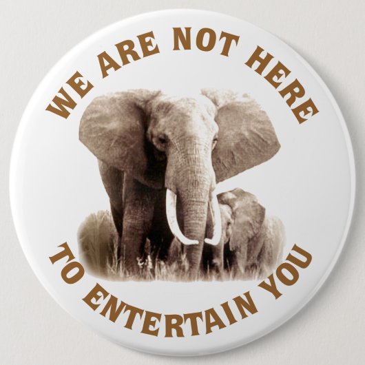 Elephats verdienen Respekt Button (Vorderseite)