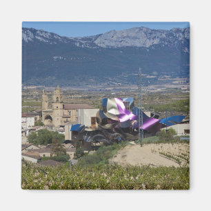 Elevated town view and Hotel Marques de Riscal Magnet