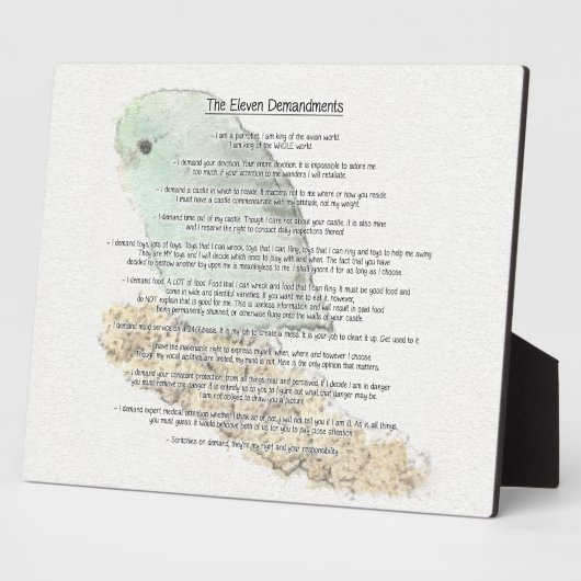 Elf Anforderungen der Parrotlets Fotoplatte (Seite)