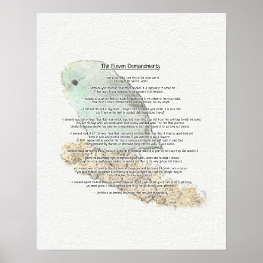 Elf Anforderungen der Parrotlets Poster (Vorne)