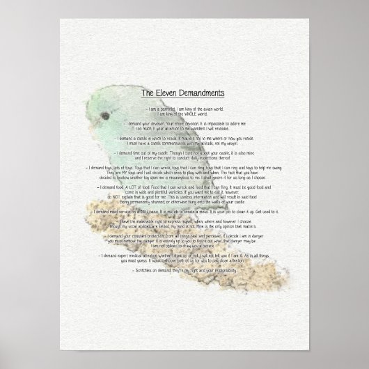 Elf Anforderungen der Parrotlets Poster (Vorne)