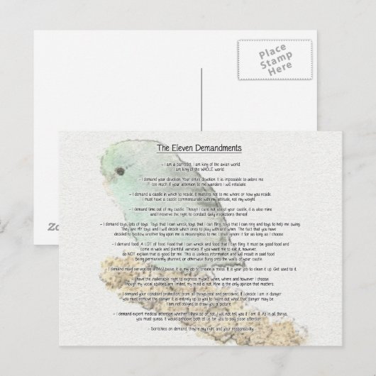 Elf Anforderungen der Parrotlets Postkarte (Vorne/Hinten)