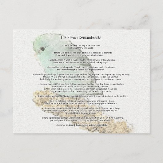 Elf Anforderungen der Parrotlets Postkarte (Vorderseite)