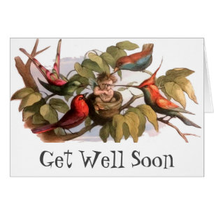 Elf Bird Sprite Pixie Brownie Fairy Tale