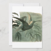 Elf Fairies Elves Moon Night Scene Bird Flying Einladung (Rückseite)