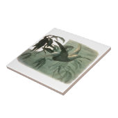 Elf Fairies Elves Moon Night Scene Bird Flying Fliese (Seite)