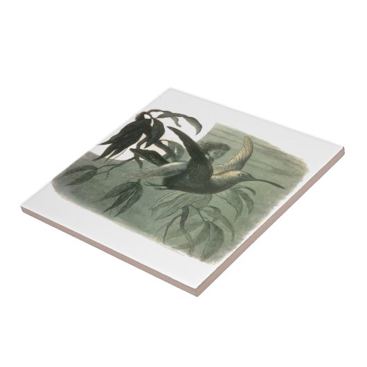 Elf Fairies Elves Moon Night Scene Bird Flying Fliese (Seite)