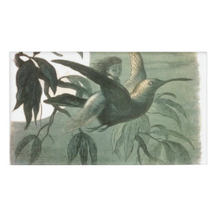 Elf Fairies Elves Moon Night Scene Bird Flying Namenschild