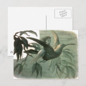 Elf Fairies Elves Moon Night Scene Bird Flying Postkarte (Vorne/Hinten)