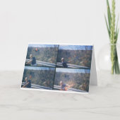 Elf Feiertagskarte (Vorderseite)