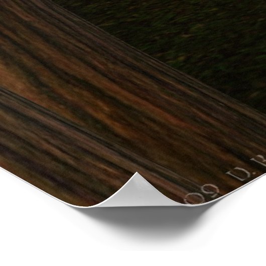 Elf Guardian Poster (Ecke)