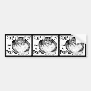 Elf hat ein Gruppen-Aufkleber-Set Autoaufkleber