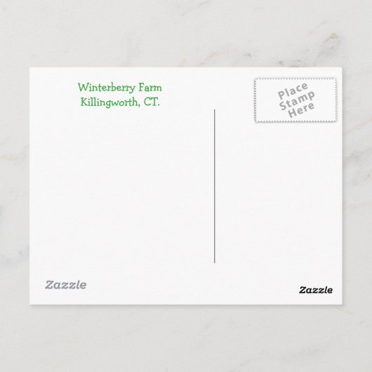 Elf House Postkarte (Rückseite)