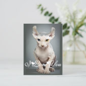 Elf Sphinx Cat Foto Image I Liebe You Postkarte (Stehend Vorderseite)