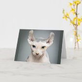 Elf Sphinx Cat Fotograf Karte (Gelbe Blume)