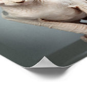 Elf Sphinx Cat Fotograf Poster (Ecke)