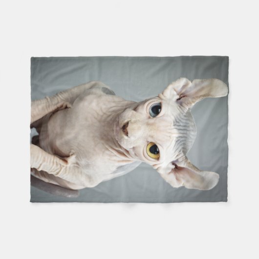Elf-Sphinx-Katzen-Fotografie Fleecedecke (Vorderseite (Horizontal))