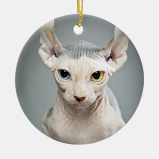 Elf-Sphinx-Katzen-Fotografie Keramik Ornament (Vorne)