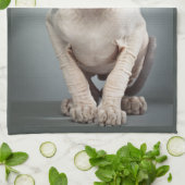 Elf-Sphinx-Katzen-Fotografie Küchentuch (Gefaltet)