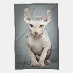 Elf-Sphinx-Katzen-Fotografie Küchentuch