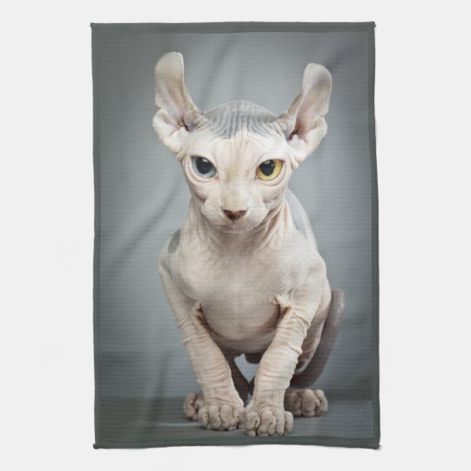 Elf-Sphinx-Katzen-Fotografie Küchentuch (Vertikal)
