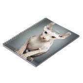 Elf-Sphinx-Katzen-Fotografie Notizblock (Linke Seite)
