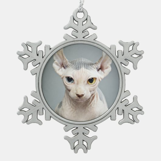 Elf-Sphinx-Katzen-Fotografie Schneeflocken Zinn-Ornament (Vorderseite)