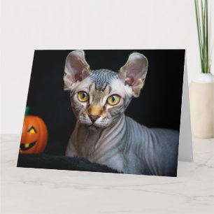 Elf Sphynx Katzenfoto Frohe Halloween-Karte Dankeskarte