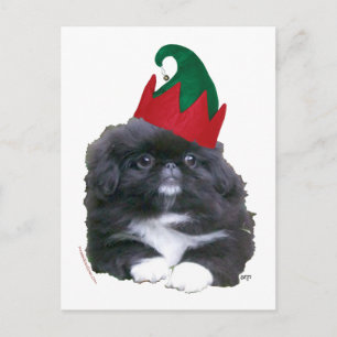 Elfen-Pekingese-Welpe Weihnachten
